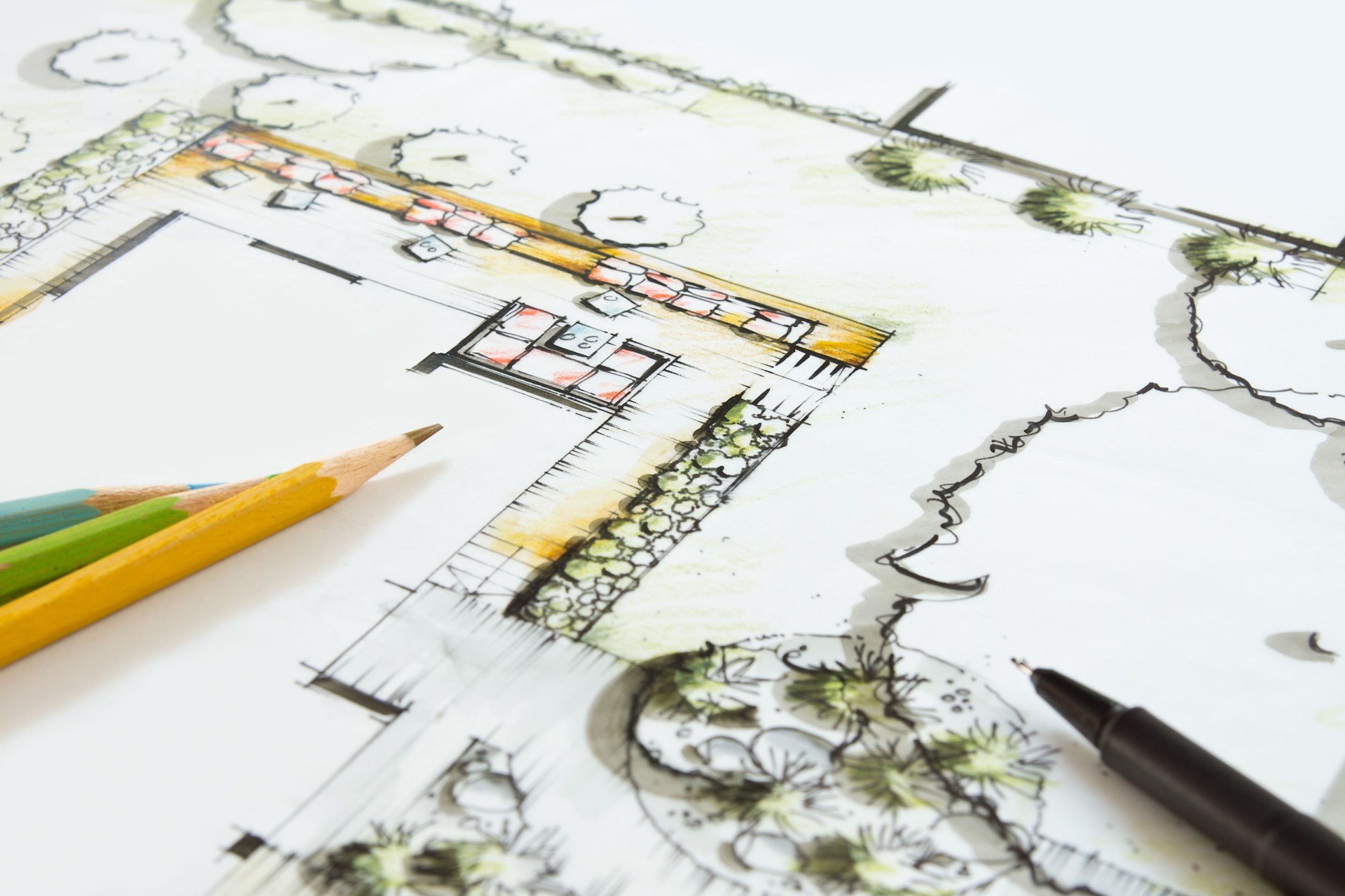 Landscape graphic Drawing